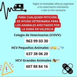 numeros de contacto veterianrios  